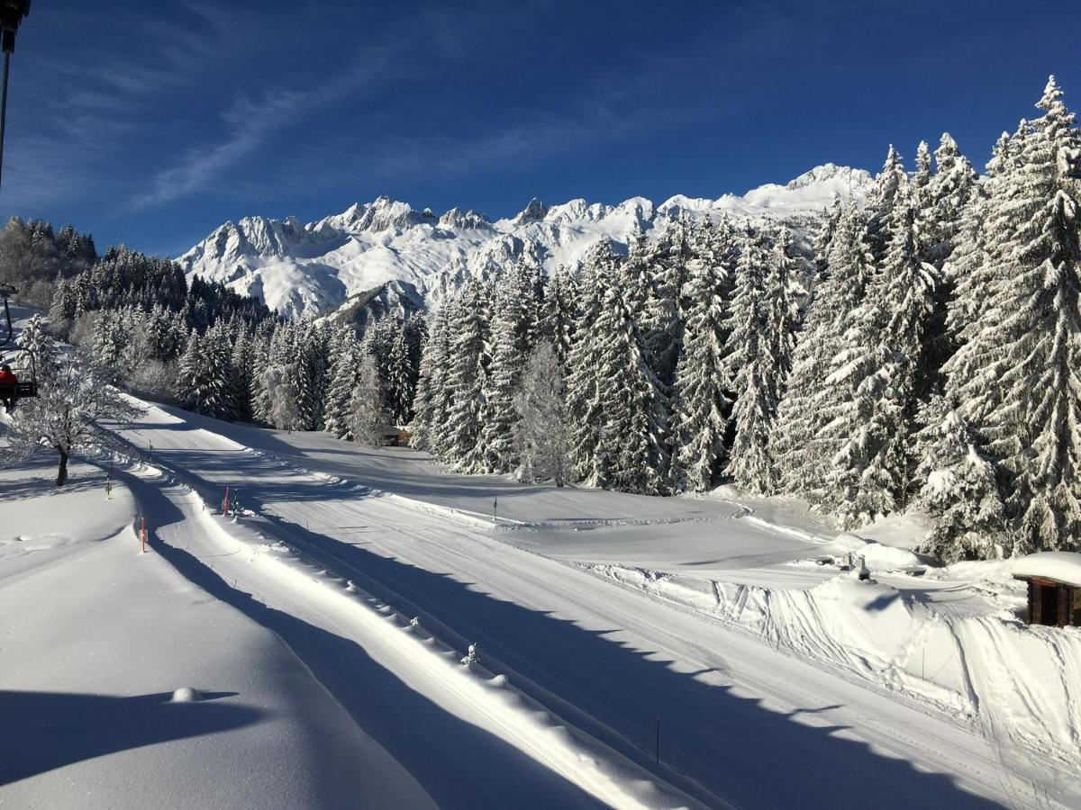 Chalet Confidentiel Valmorel - Chalet De Haut De Gamme 4 Etoiles 12 Personnes Doucy Esterno foto