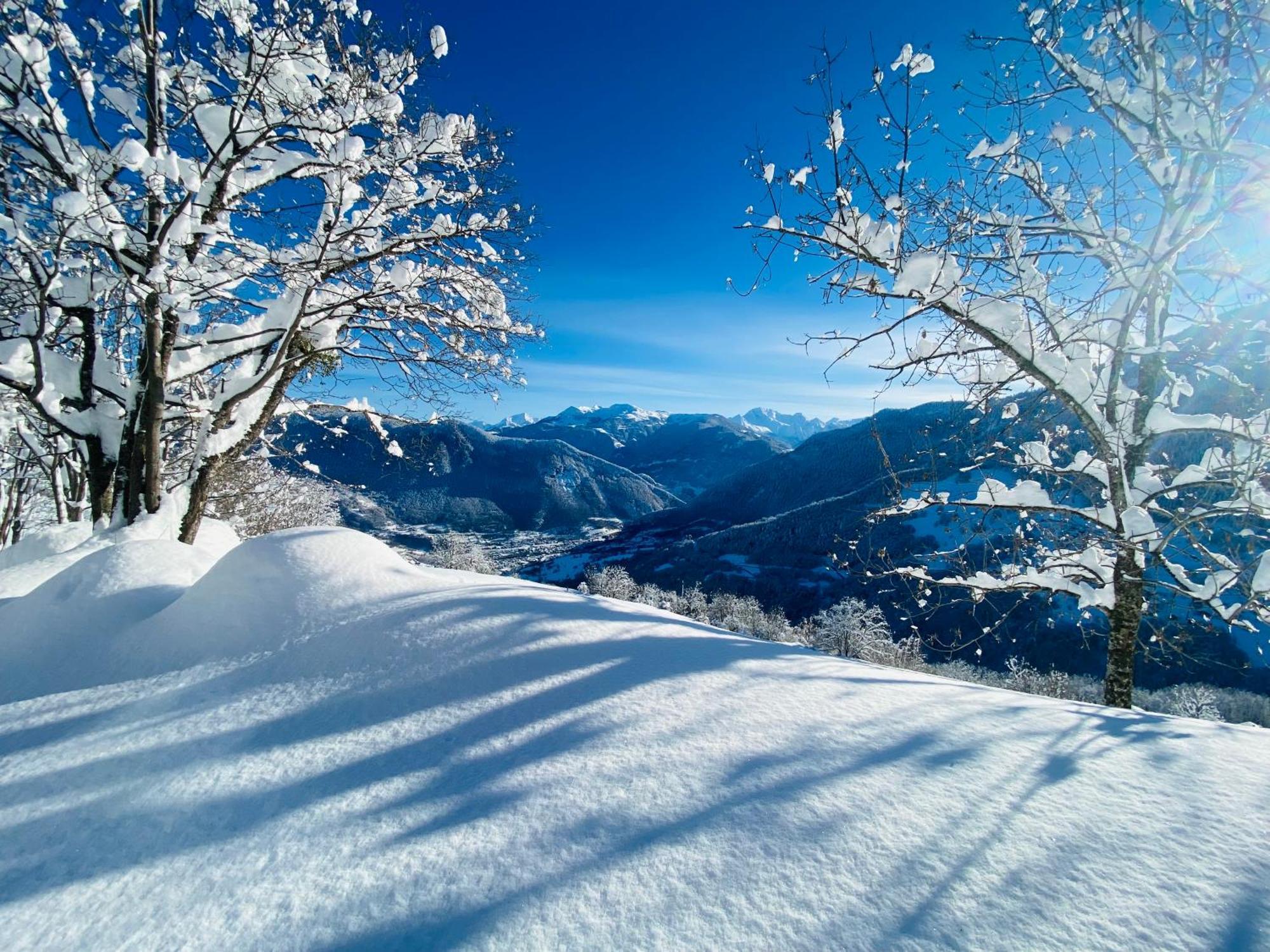 Chalet Confidentiel Valmorel - Chalet De Haut De Gamme 4 Etoiles 12 Personnes Doucy Esterno foto